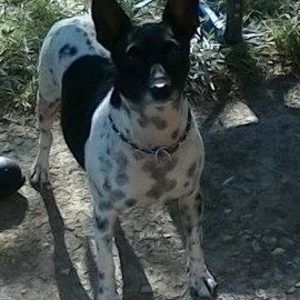 Meet your Posher, Patricia